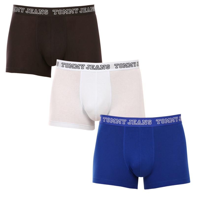 3PACK pánské boxerky Tommy Hilfiger vícebarevné (UM0UM02850 0TV) L, trenky / trenýrky