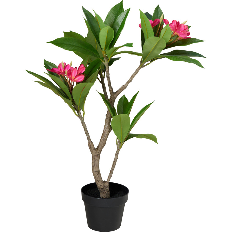 Botanical Decoration Umělý stromek v květináči Frangipani, 50 x 90 cm zelený 104597