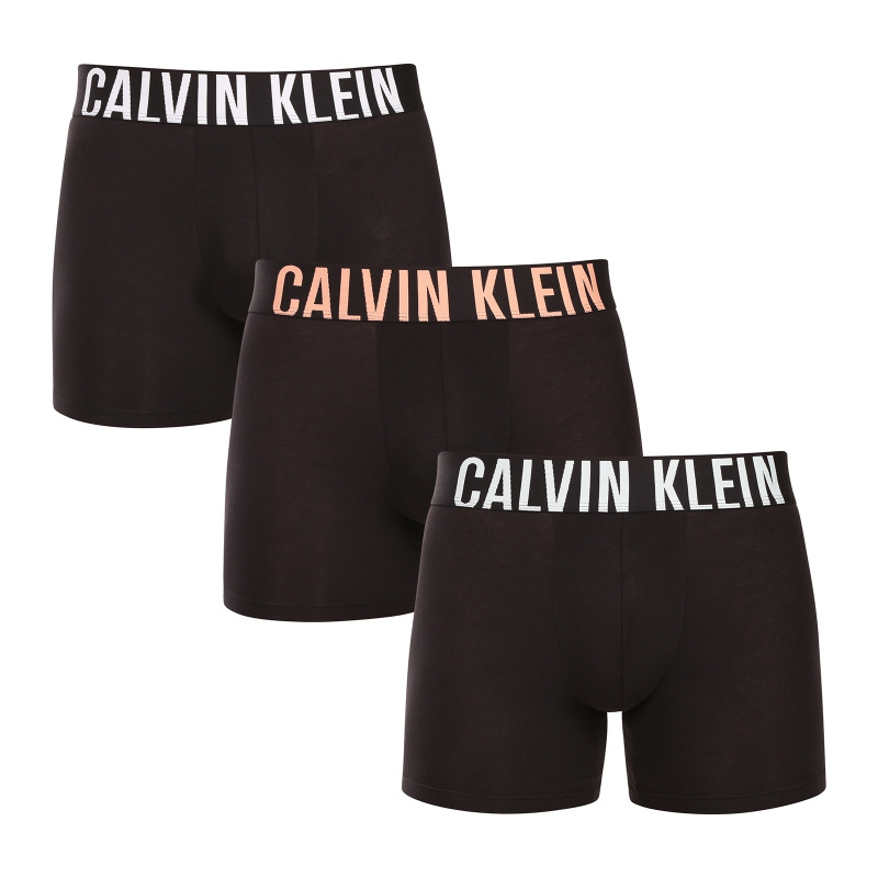 3PACK pánské boxerky Calvin Klein černé (NB3609A-VVN) L, trenky / trenýrky