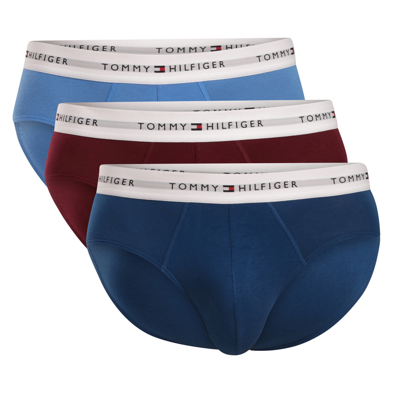 3PACK pánské slipy Tommy Hilfiger vícebarevné (UM0UM03875 0XH) L
