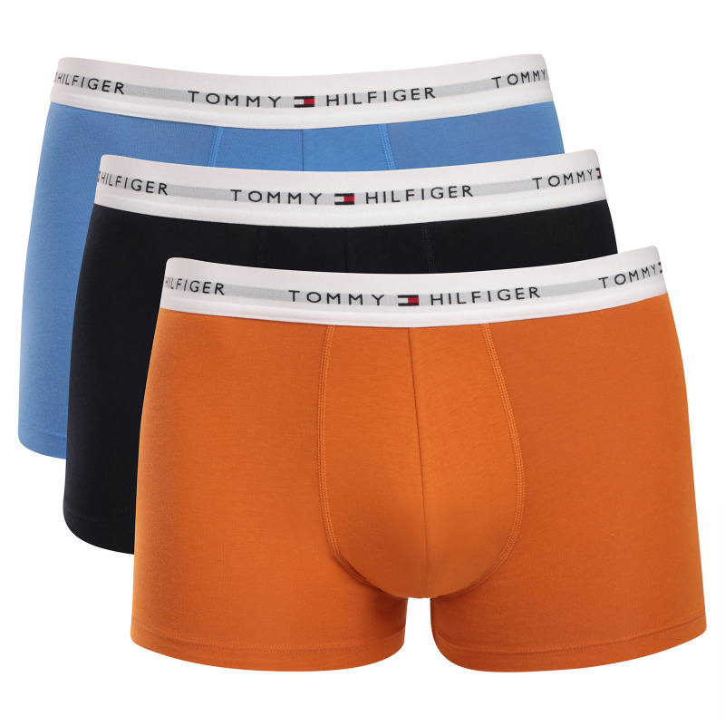 3PACK pánské boxerky Tommy Hilfiger vícebarevné (UM0UM03889 0VO) L, trenky / trenýrky