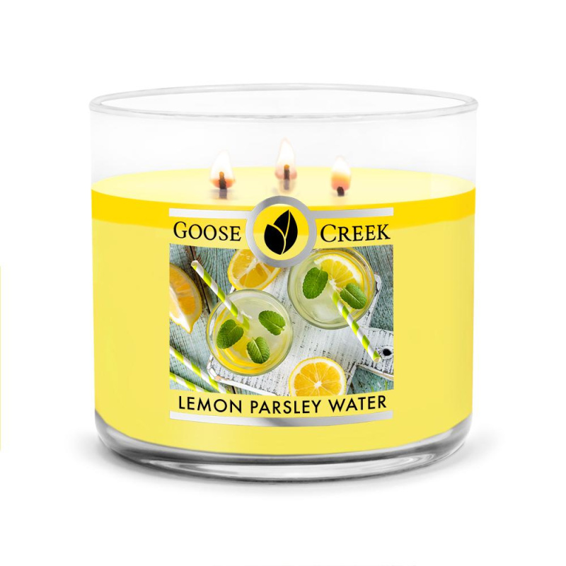 Goose Creek - Citrónová voda s pažitkou  Aromatická svíčka ve skle 411 g