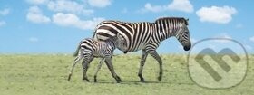 Záložka Úžaska Zebra s mládětem