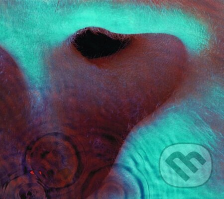 Pink Floyd: Meddle - Pink Floyd