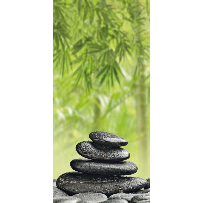 Sanotechnik Dekorativní sprchový panel Sanowall, wellness P, 100 x 205 cm