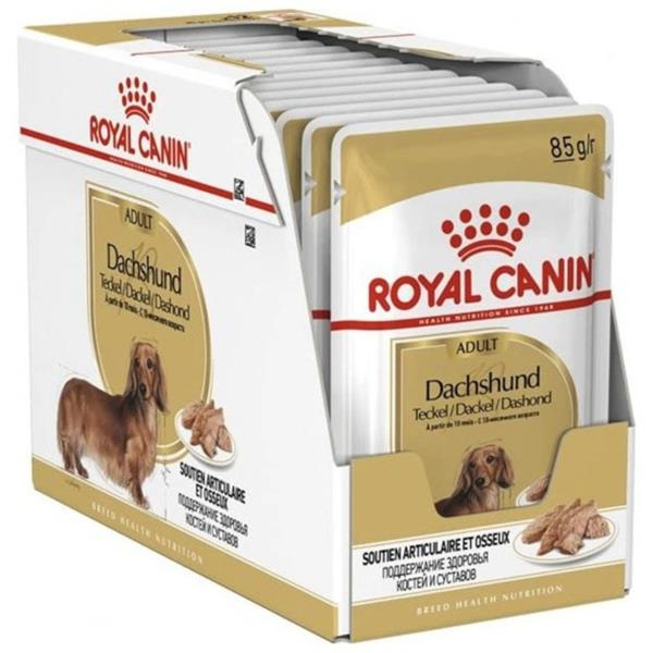 Royal Canin Kapsička pro jezevčíky (12×85 g)