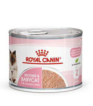 Royal Canin Starter Mousse konzerva 195 g