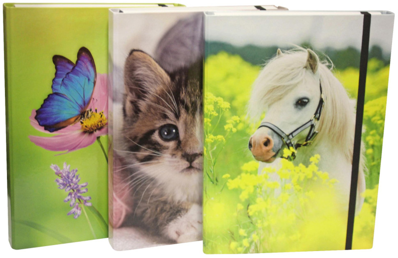 Donau Box na spisy - A4, 4 cm, motiv zvířat