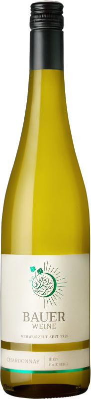 Weingut Norbert Bauer Bauer Chardonnay Ried Haidberg 2023 Bio