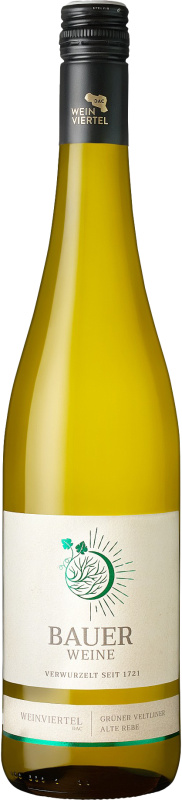 Weingut Norbert Bauer Bauer Veltliner Alte Rebe Ried Diermansee DAC 2023 Bio