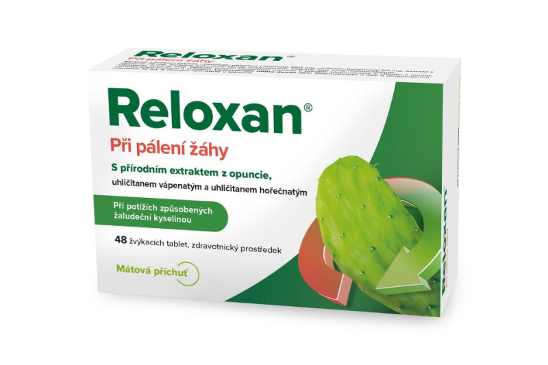 RELOXAN Mint žvýkací tablety s příchutí máty 48 tablet