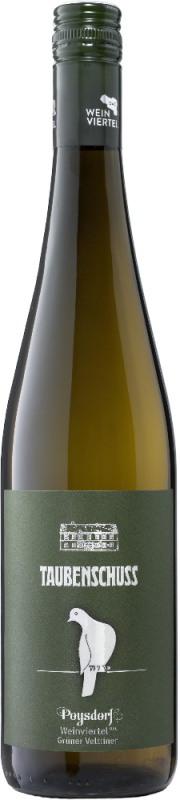 Taubenschuss Taubenschuss Grüner Veltliner Poysdorf 2024