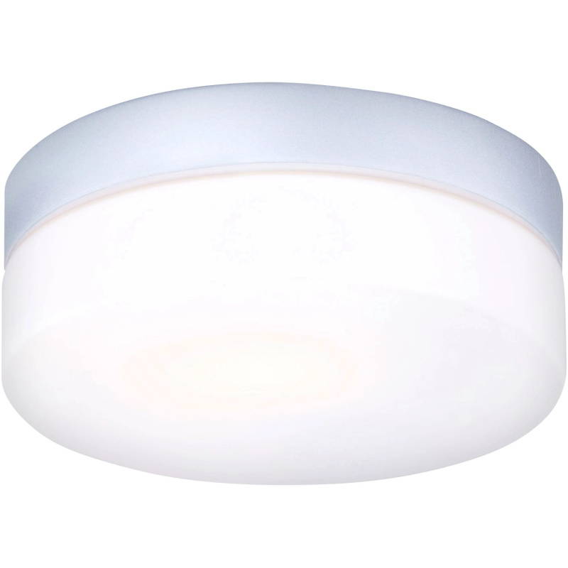 Globo Stropní koupelnové osvětlení Vranos 1x 60 W E27 opál