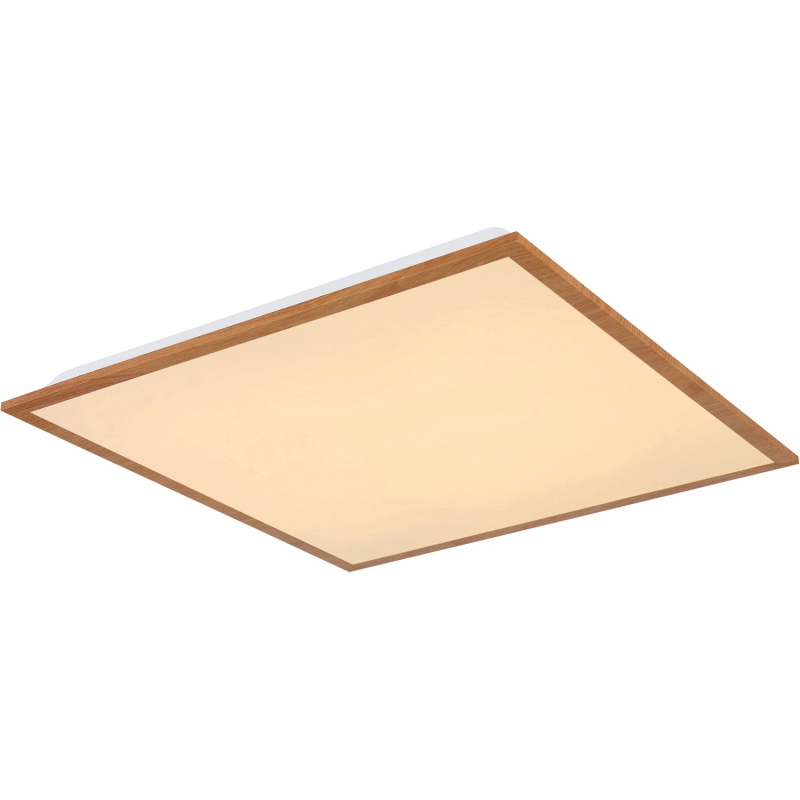 DORO Stropní svítidlo 1xLED