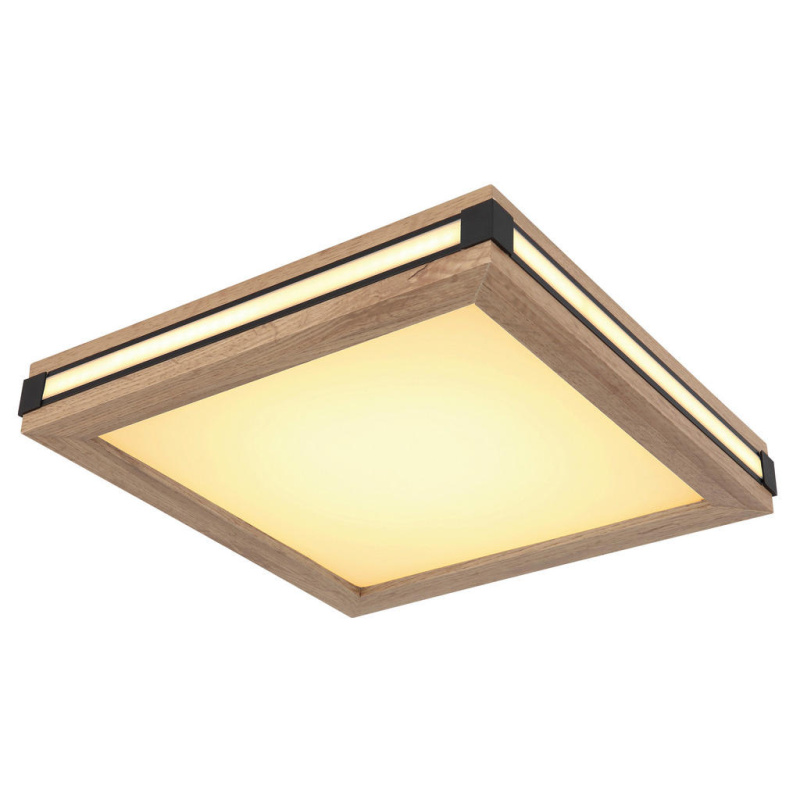 Stropní svítidlo 41589D1 LED 12W PL1