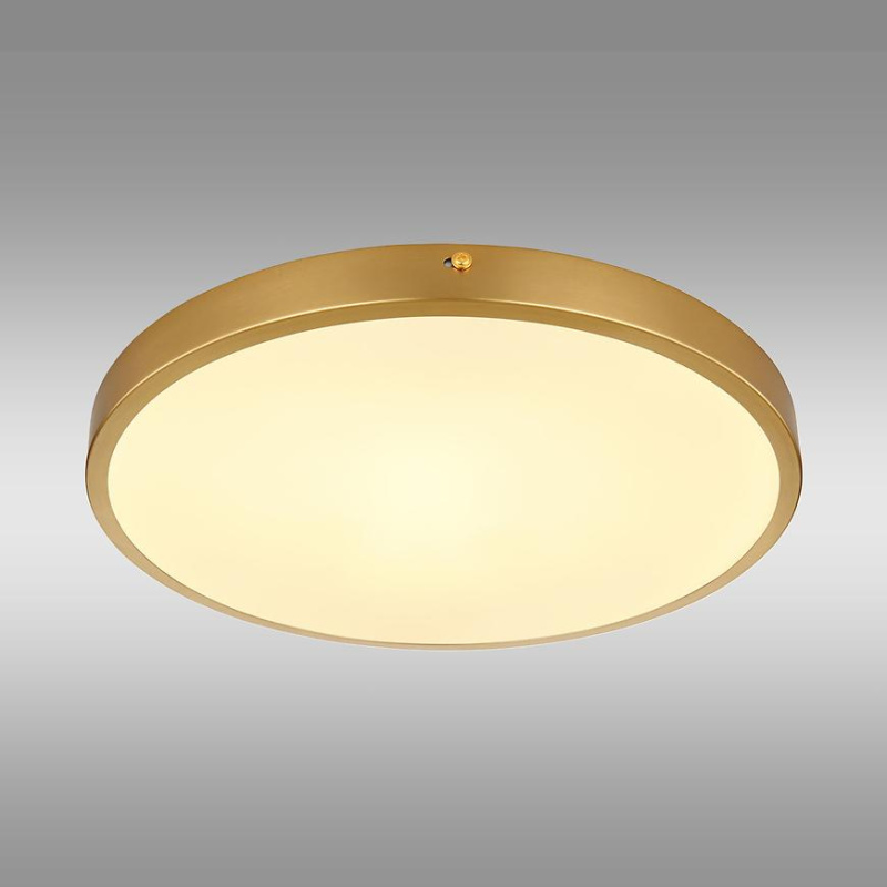 Stropní svítidlo Tibey 12381-22 LED PL1