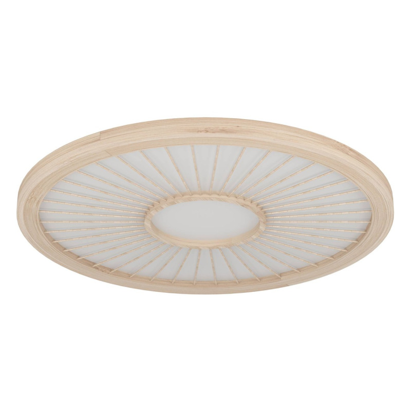LED Stropní osvětlení Eglo DEHESA bílá 390296