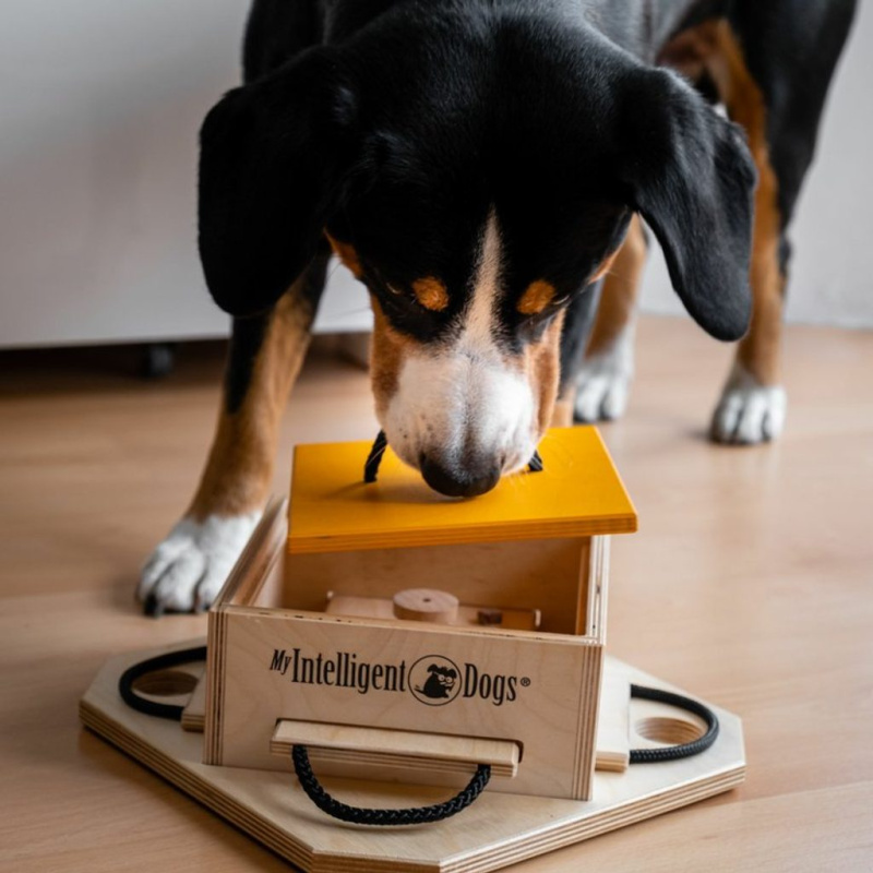 My intelligent pets Hlavolam pro pokročilé psy My Intelligent Dogs Trouble / obtížnost 1-4