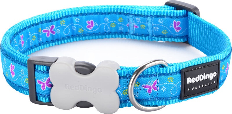 RedDingo Obojek Butterfly Turquoise - 2,5/41 až 63cm
