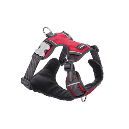 Postroj RD polstrovaný XL - 72-112 cm - Červená