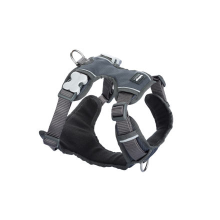 Postroj RD polstrovaný L - 56-80 cm - Šedá