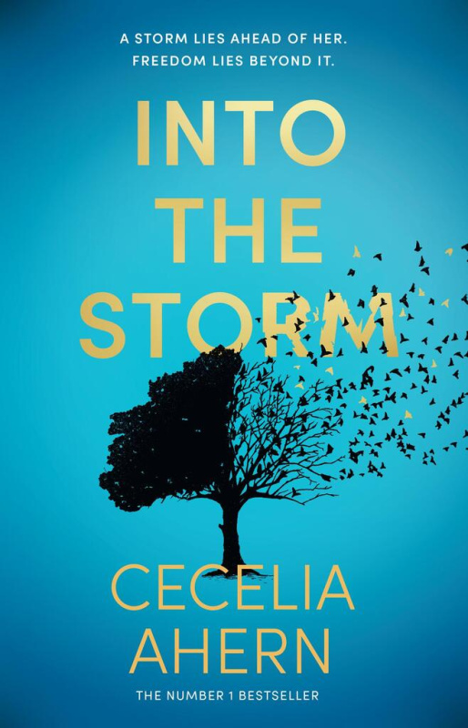 Into the Storm - Cecelia Ahern - kniha z kategorie Společenská beletrie