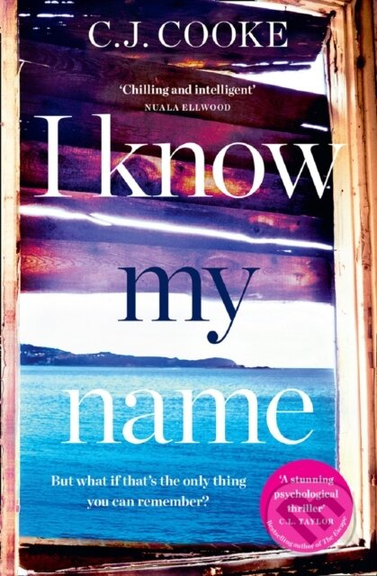 I Know My Name (An Addictive Thriller with a Chilling Twist) - kniha z kategorie Thrillery