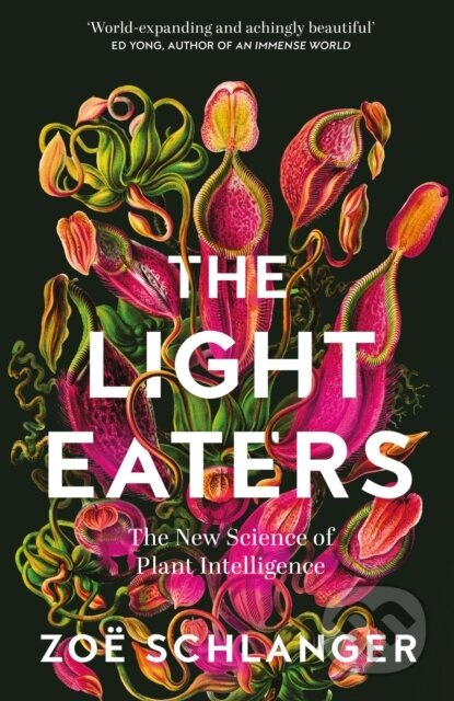 The Light Eaters (The New Science of Plant Intelligence) - kniha z kategorie Biologie