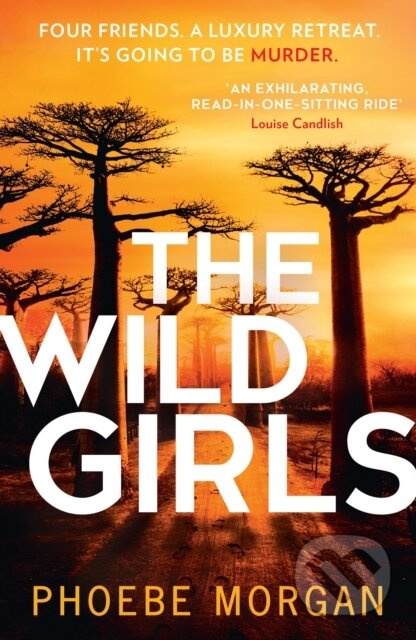 The Wild Girls - Phoebe Morgan - kniha z kategorie Detektivky, thrillery a horory