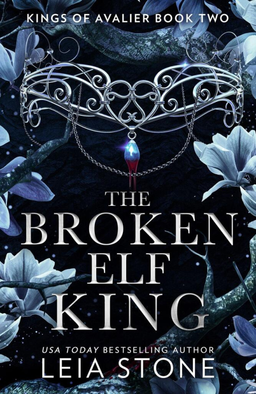The Broken Elf King - Leia Stone - kniha z kategorie Fantasy