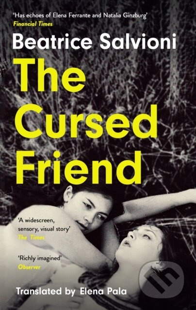 The Cursed Friend - Beatrice Salvioni - kniha z kategorie Společenská beletrie
