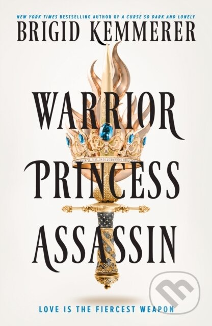 Warrior Princess Assassin - Brigid Kemmerer - kniha z kategorie Beletrie