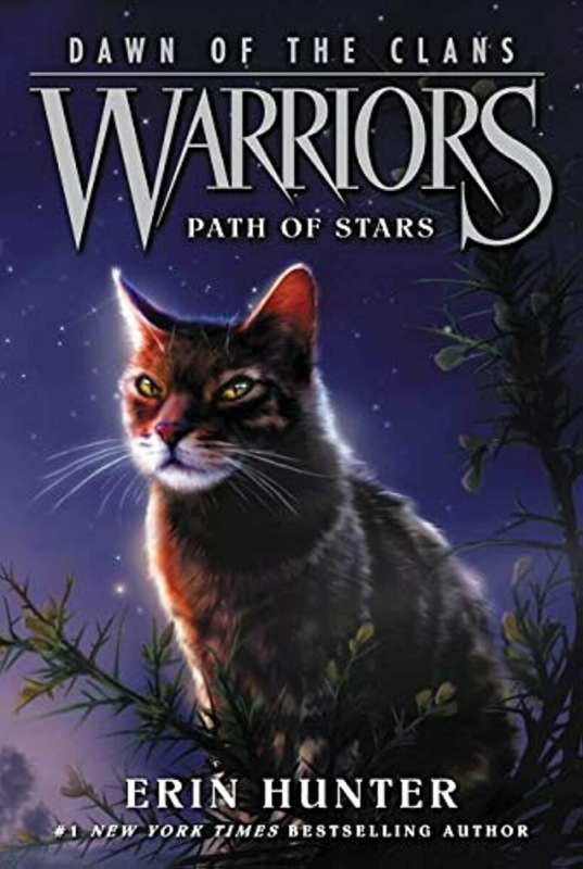 Warriors - Dawn of the Clans 6: Path of Stars - Erin Hunterová