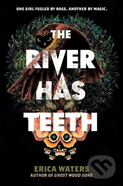 The River Has Teeth - Waters Erica - kniha z kategorie Pro děti