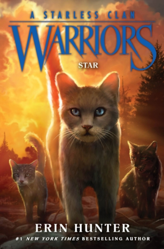 HarperCollins Publishers Inc Warriors: A Starless Clan #6: Star - Hunter, Erin