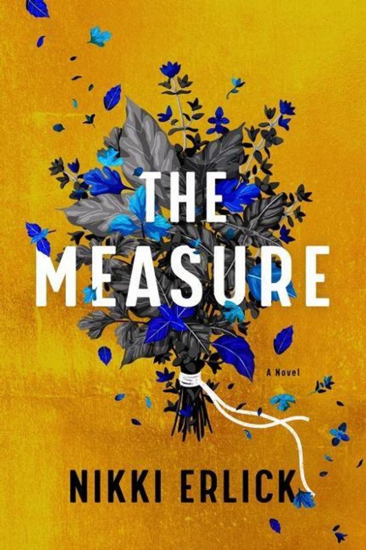 Measure (A Novel) - Nikki Erlick