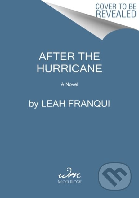 After the Hurricane (A Novel) - Leah Franqui