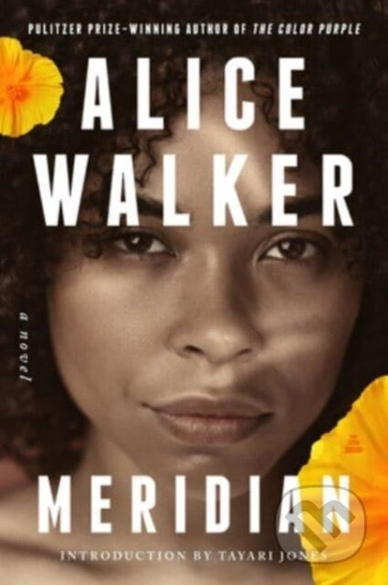 Meridian (A Novel) - Alice Walker