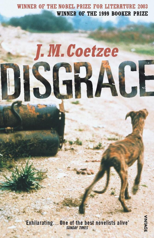 Disgrace - J.M. Coetzee - kniha z kategorie Beletrie