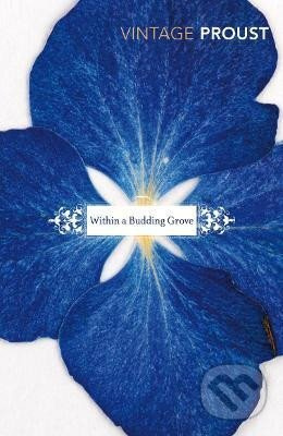 In Search of Lost Time: Vol 2 : Within a Budding Grove - kniha z kategorie Jazykové učebnice a slovníky