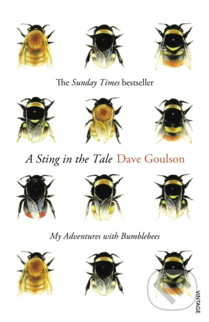 A Sting in the Tale - Dave Goulson - kniha z kategorie Přírodní vědy a technika