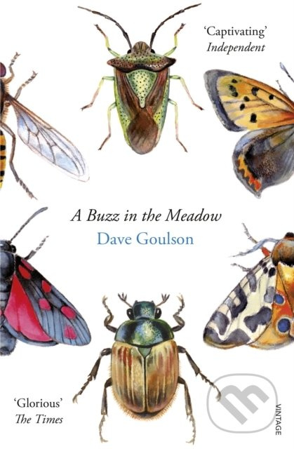 A Buzz in the Meadow - Dave Goulson - kniha z kategorie Přírodní vědy a technika