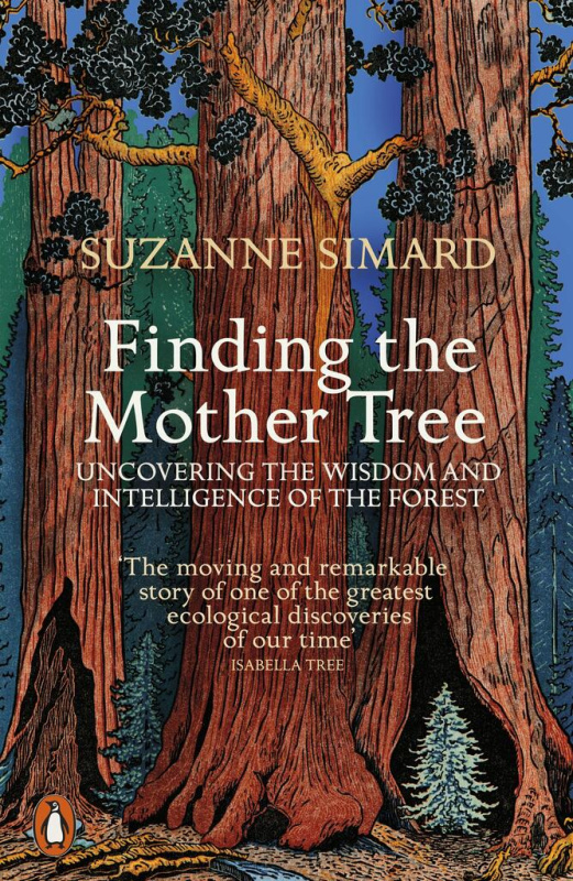 Finding the Mother Tree (Uncovering the Wisdom and Intelligence of the Forest) - kniha z kategorie Přírodní vědy a technika