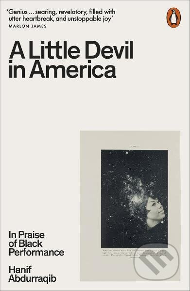 A Little Devil in America: In Praise of Black Performance - kniha z kategorie Odborné a naučné