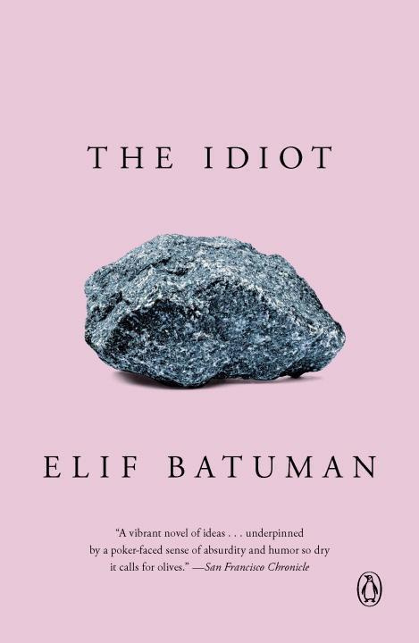 The Idiot - Elif Batuman - kniha z kategorie Společenská beletrie