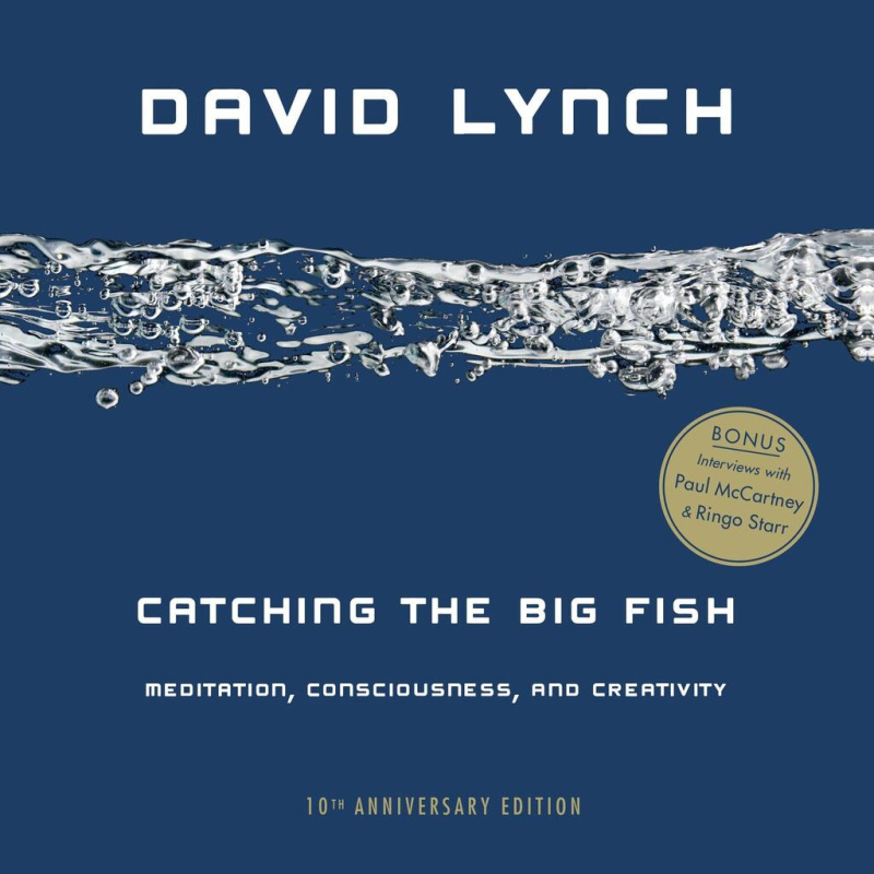 Catching the Big Fish (Meditation, Consciousness, and Creativity) - kniha z kategorie Film