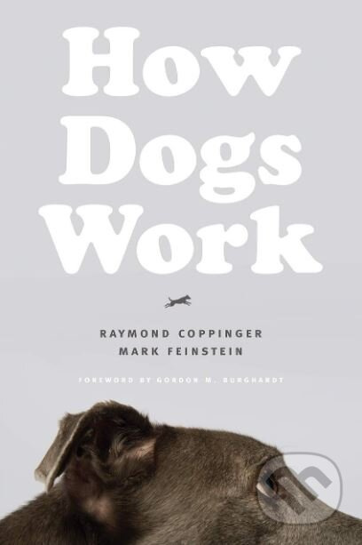 How Dogs Work - Raymond Coppinger, Mark Feinstein - kniha z kategorie Chov zvířat