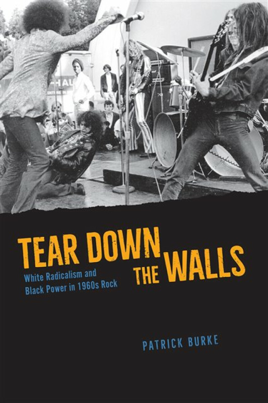 Tear Down the Walls â€“ White Radicalism and Black Power in 1960s Rock - Patrick Burke