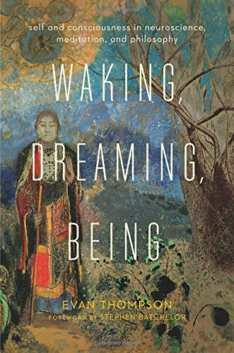 Waking, Dreaming, Being : Self and Consciousness in Neuroscience, Meditation, and Philosophy