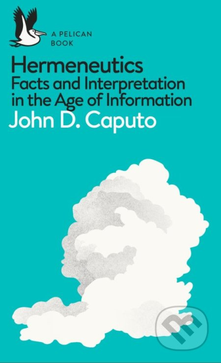 Hermeneutics (Facts and Interpretation in the Age of Information) - kniha z kategorie Filozofie